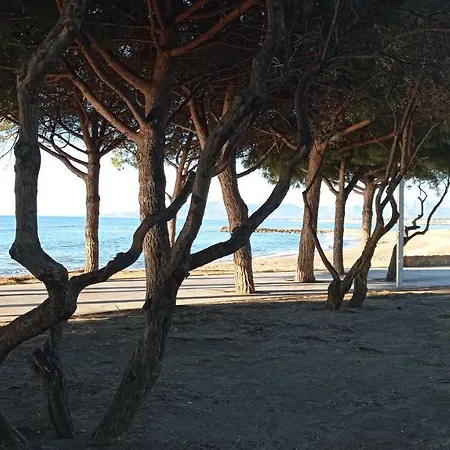 Gaia Playa